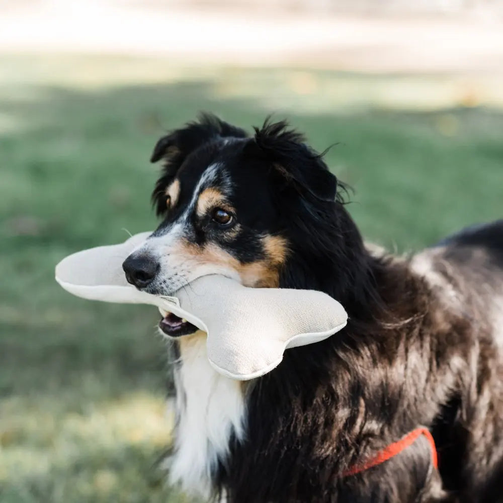 Duurzaam en stijlvolle honden bot